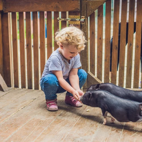 Zveropark - Revišťské Podzámčie