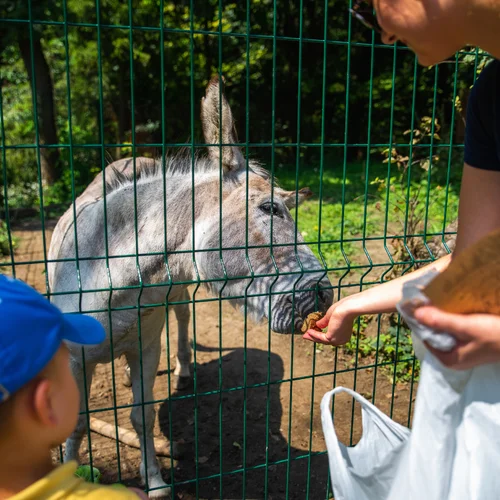 Lesopark Počúvadlo