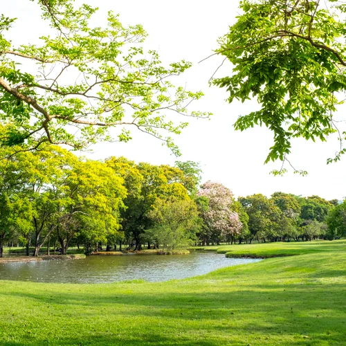 Mestský park v Trebišove