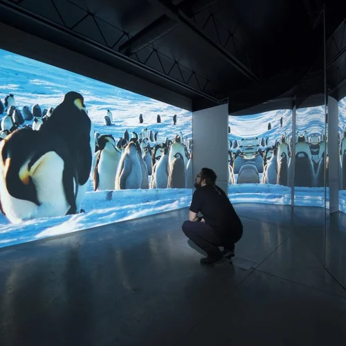 Digitálna galéria Poliankovo