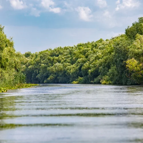 Výlet loďou do Čunova
