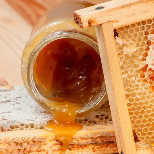 Rodinný včelí majer