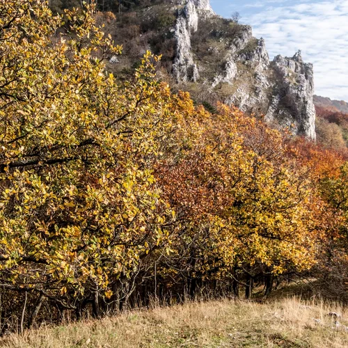 Vápenná - Roštún