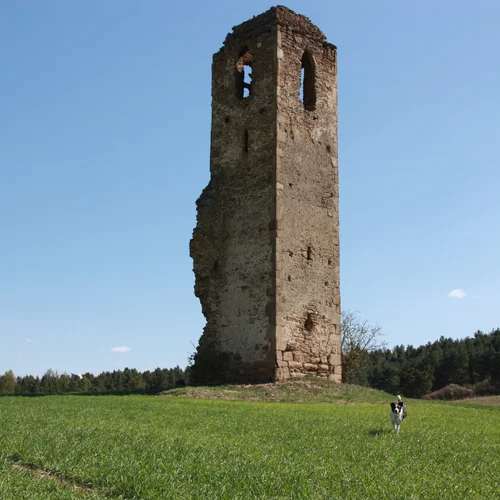 Zrúcanina kostola Miloj / Spišský Hrušov