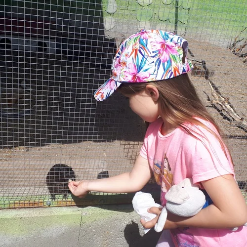 Šafránkovo gazdovstvo