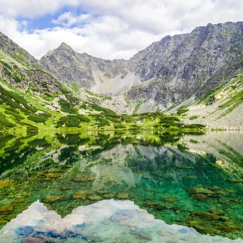 Temnosmrečinské plesá