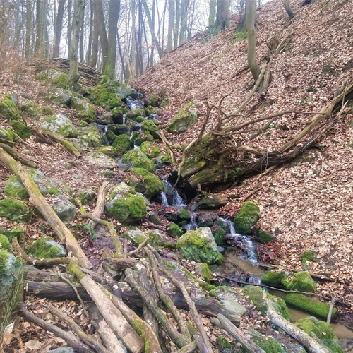 Vilmošove vodopády