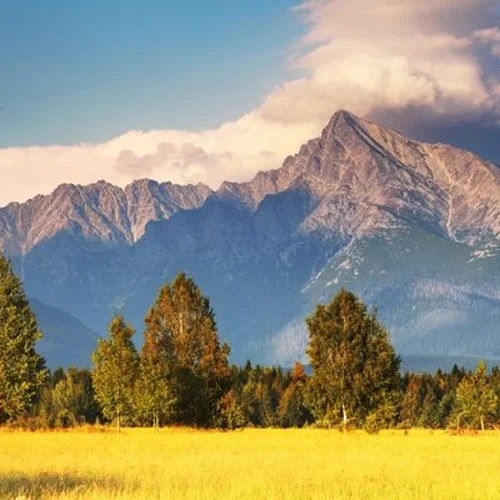 Kriváň z Troch studničiek