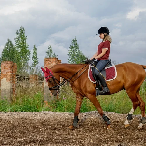Horse Club Nitra - Lužianky