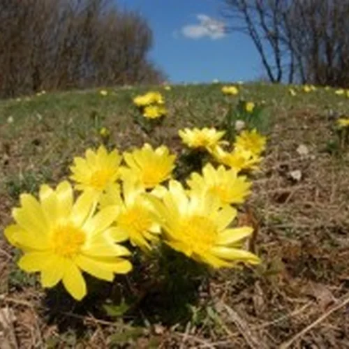 Prírodná rezervácia Lupka