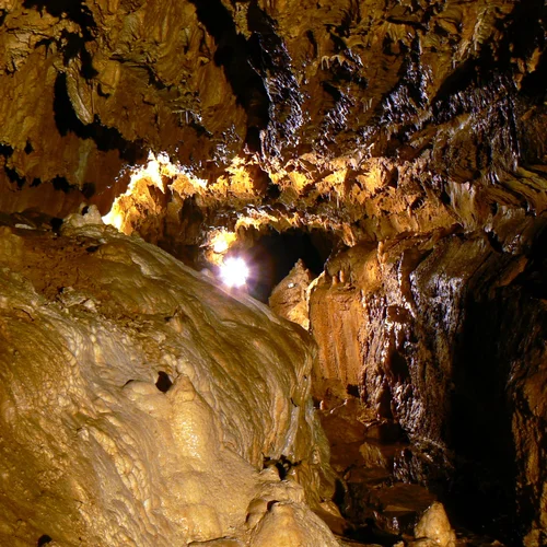 Jaskyňa mŕtvych netopierov