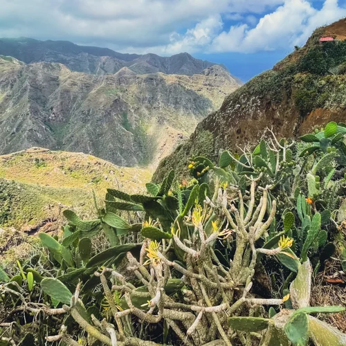 Tenerife - najväčší z Kanárskych ostrovov