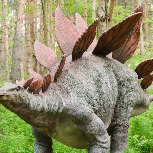 Dumba Park Tattendorf