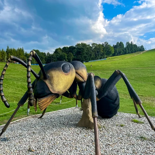 Náučný chodník pre deti na vrchu Palenica