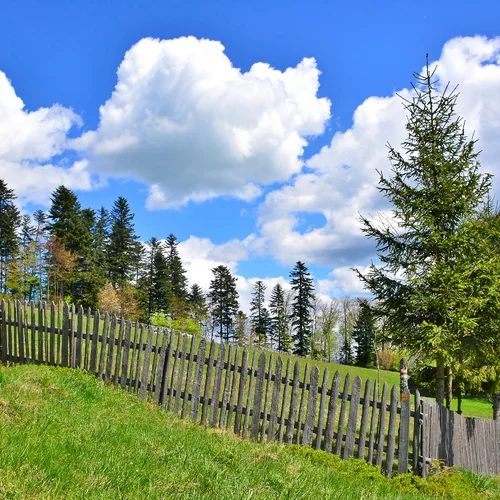 Sadecké Beskydy - vrchol Niemcowa