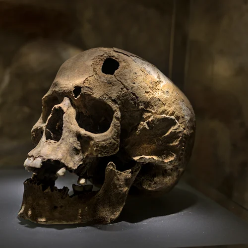 Podzemné múzeum Rynek