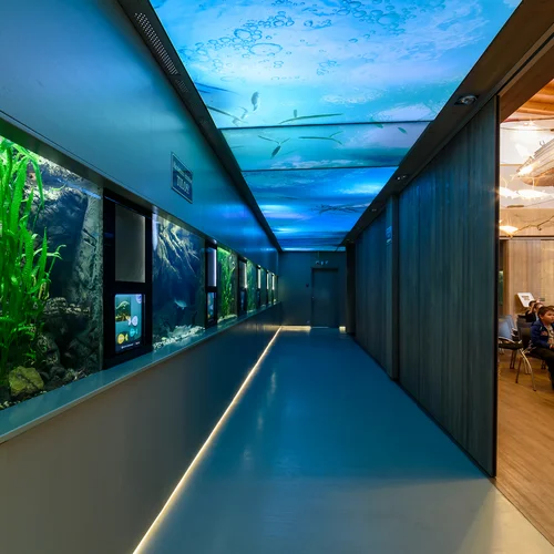 Balatonfüred Bodorka - najobľúbenejšie akvárium na Balatone