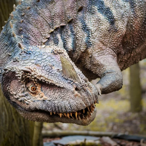 DinoPark Plzeň