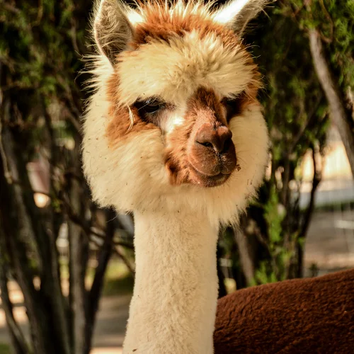 Tematický lunapark v Siófoku - Bella Adventure Park