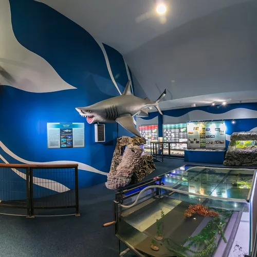 Múzeum Panónskeho mora - Pannon tenger múzeum v Miškolci