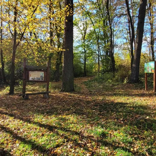 Zámutovská kolejka