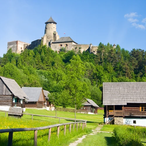 Ľubovniansky hrad