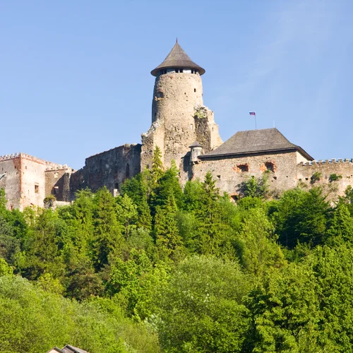 Ľubovniansky hrad