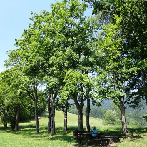 Stezka Via Piette