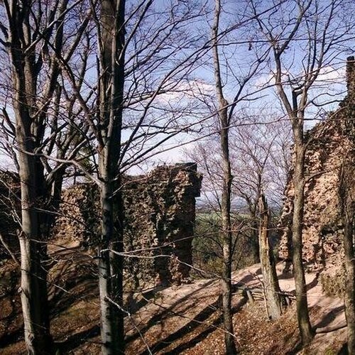 Zřícenina hradu Bradlec