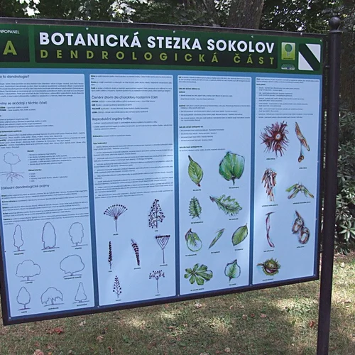 Botanická stezka Sokolov