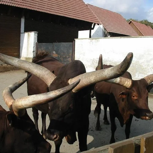 ZOO Vyškov