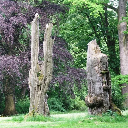 Park u zámku Žamberk