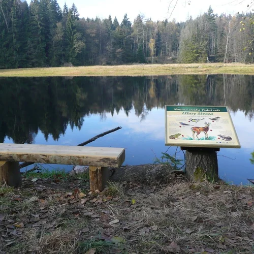 Naučná stezka Vodní svět na Kolmu