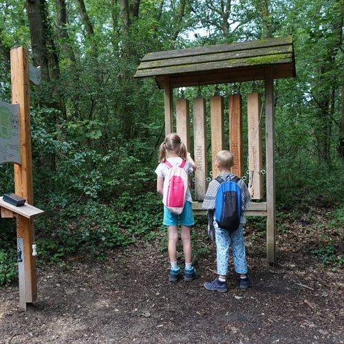 Erlebnisweg zur Koliskowarte Hollabrunn
