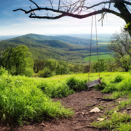 Žibrica