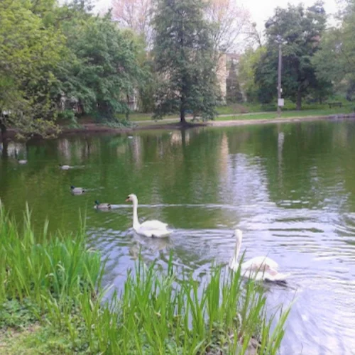 Barčiansky park