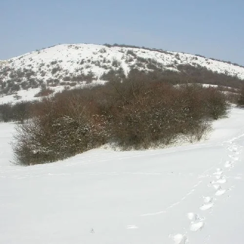 Stolová hora Pálava