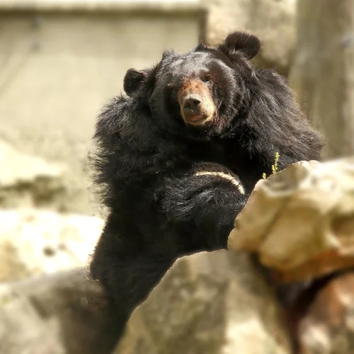 Zoo Debrecín
