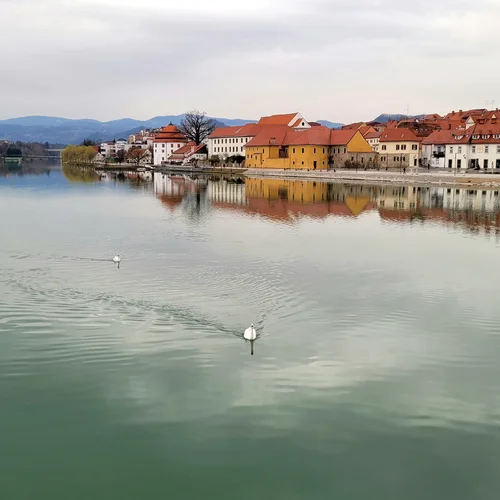 Maribor
