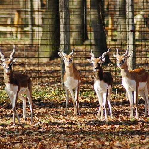 ZOO Miskolc