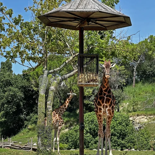 Parco Natura Viva