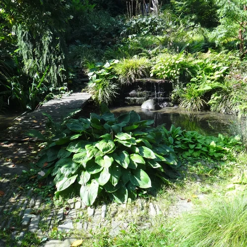 Jablunkovské arboretum
