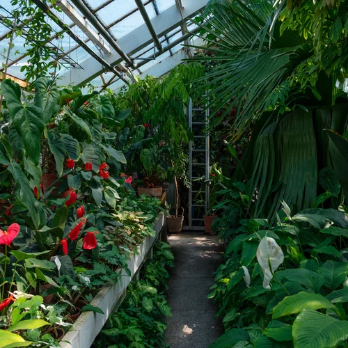 Botanická záhrada Jagellonskej univerzity