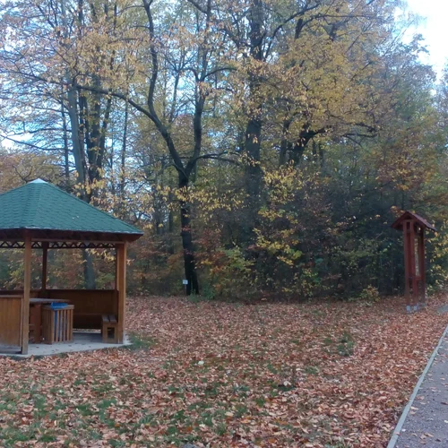 Arboretum Vysoké Chvojno