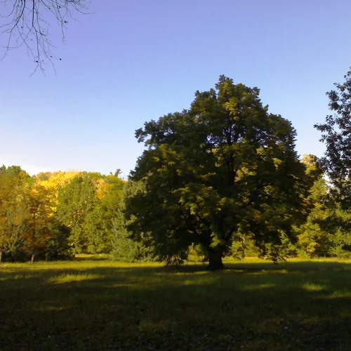 Zookoutek a arboretum Vysoké Chvojno