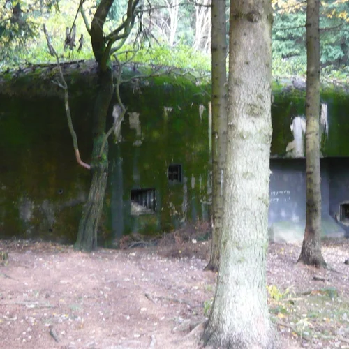 Pěchotní srub T-S 82 "V končinách"