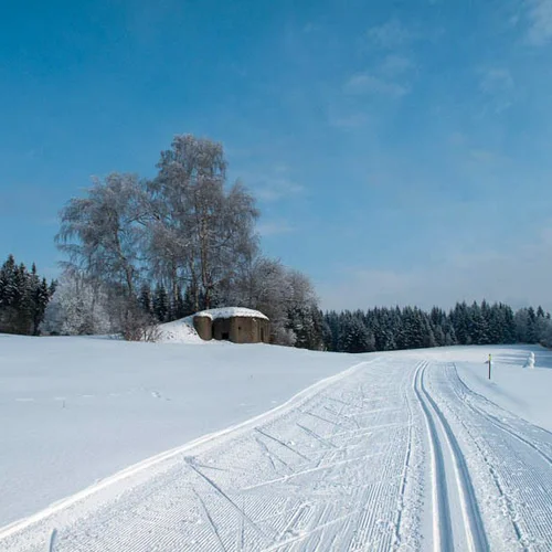 Běžkařská trať v Branné