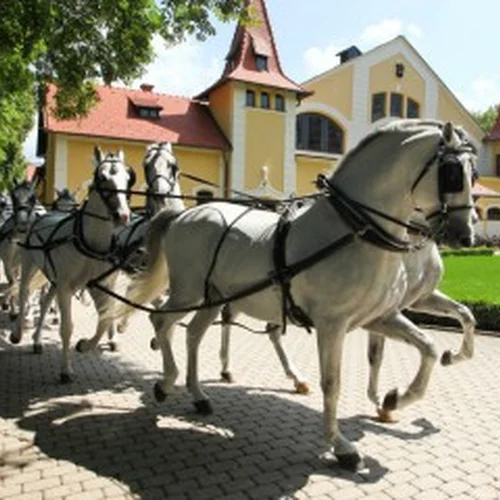Národný žrebčín Topoľčianky