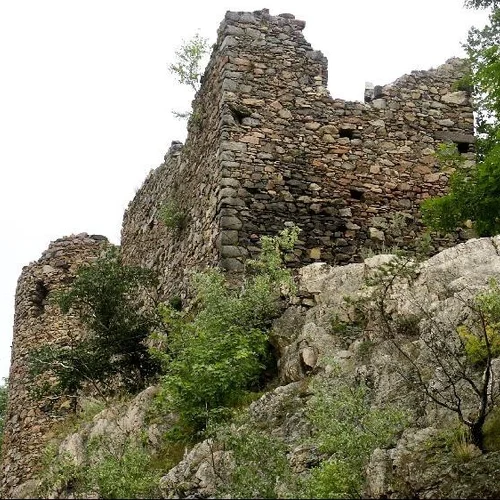 Zřícenina Zavlekov