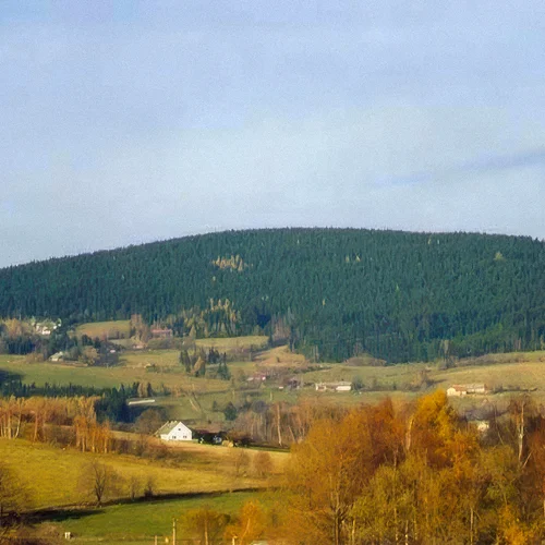 Javorník